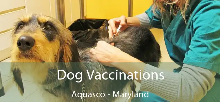 Dog Vaccinations Aquasco - Maryland