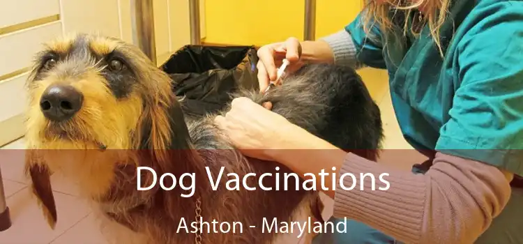 Dog Vaccinations Ashton - Maryland