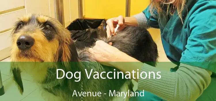 Dog Vaccinations Avenue - Maryland