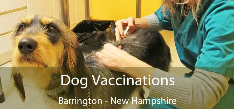 Dog Vaccinations Barrington - New Hampshire