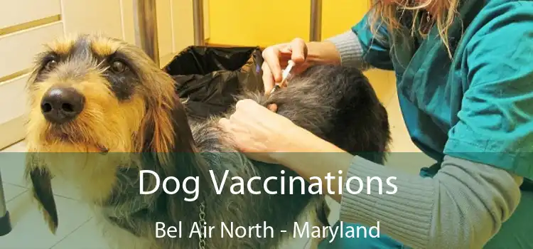 Dog Vaccinations Bel Air North - Maryland