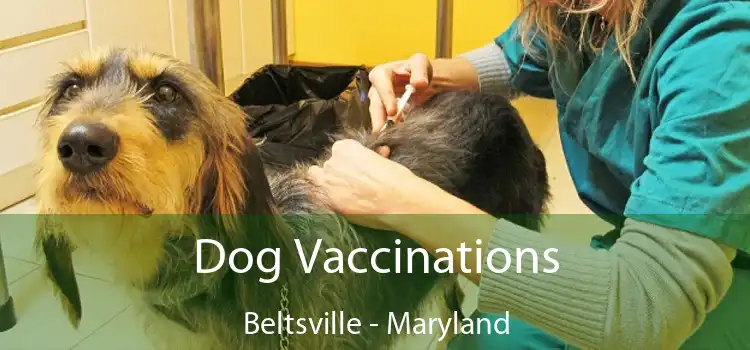 Dog Vaccinations Beltsville - Maryland