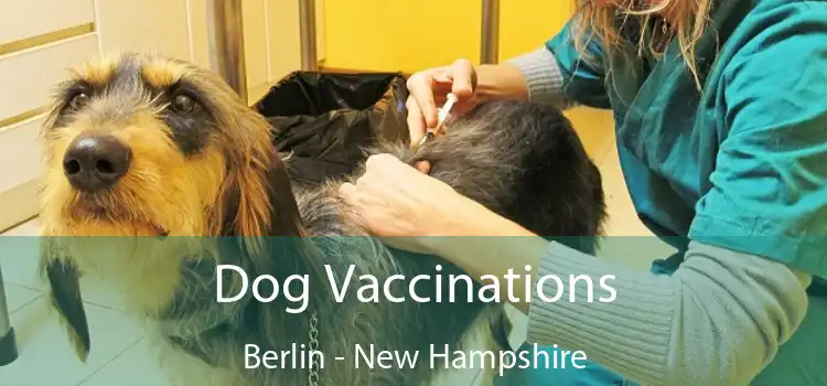 Dog Vaccinations Berlin - New Hampshire