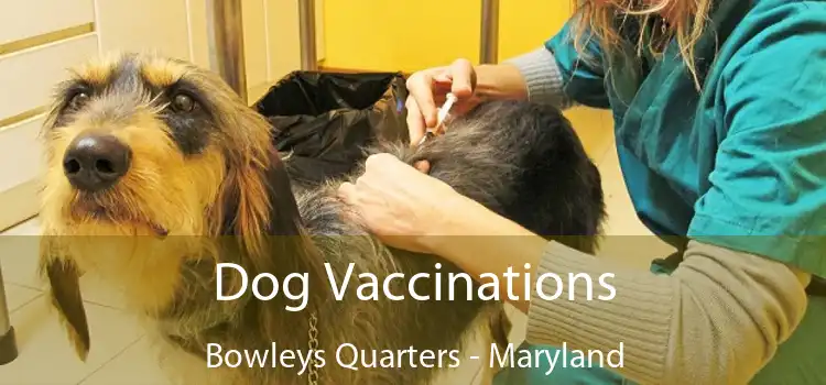 Dog Vaccinations Bowleys Quarters - Maryland