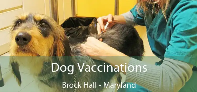 Dog Vaccinations Brock Hall - Maryland