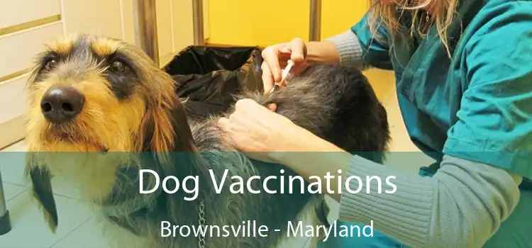 Dog Vaccinations Brownsville - Maryland