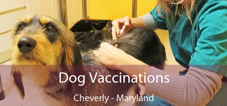 Dog Vaccinations Cheverly - Maryland