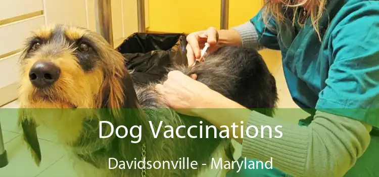 Dog Vaccinations Davidsonville - Maryland