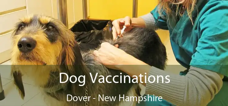 Dog Vaccinations Dover - New Hampshire