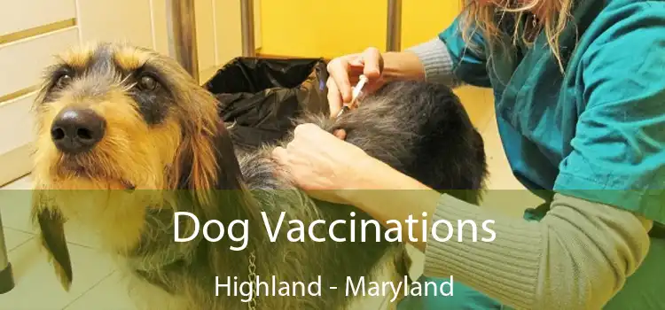 Dog Vaccinations Highland - Maryland