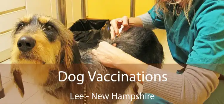 Dog Vaccinations Lee - New Hampshire