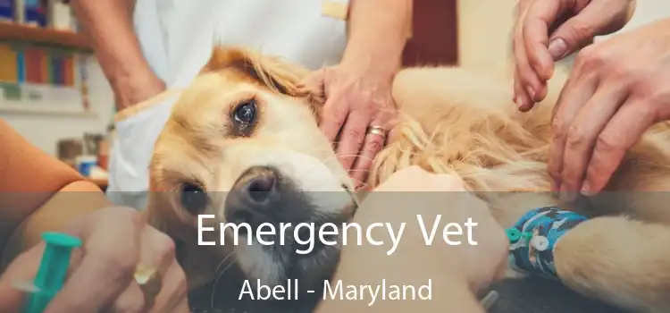 Emergency Vet Abell - Maryland