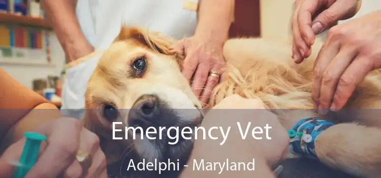 Emergency Vet Adelphi - Maryland