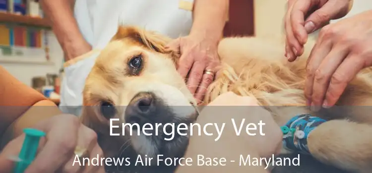 Emergency Vet Andrews Air Force Base - Maryland