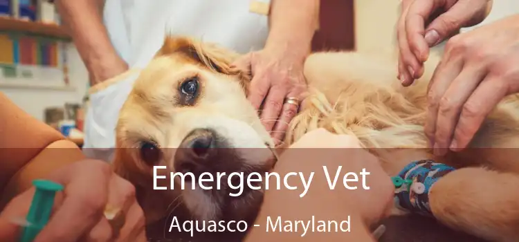 Emergency Vet Aquasco - Maryland