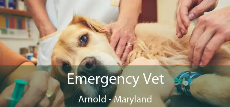 Emergency Vet Arnold - Maryland