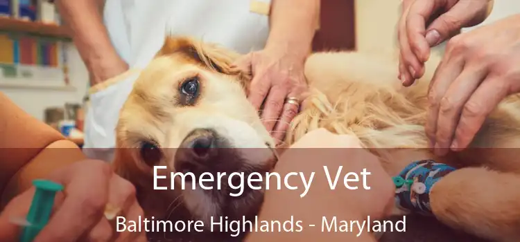 Emergency Vet Baltimore Highlands - Maryland