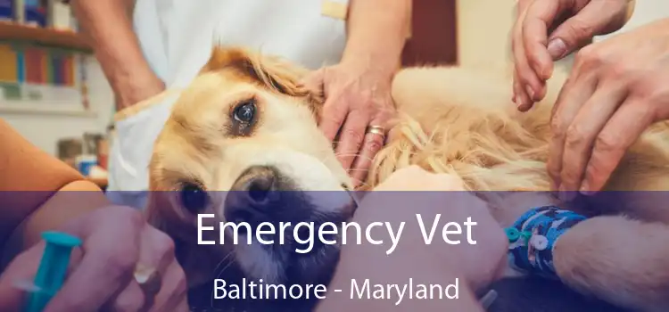 Emergency Vet Baltimore - Maryland