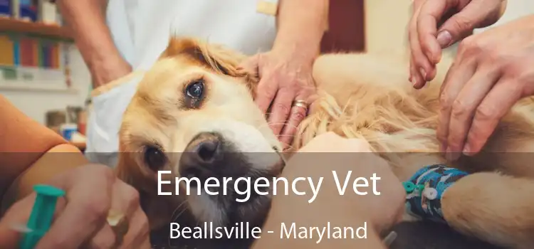 Emergency Vet Beallsville - Maryland