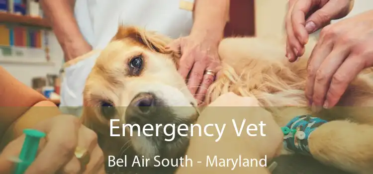 Emergency Vet Bel Air South - Maryland