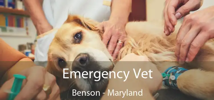 Emergency Vet Benson - Maryland