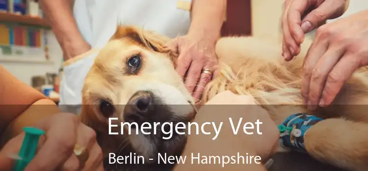 Emergency Vet Berlin - New Hampshire