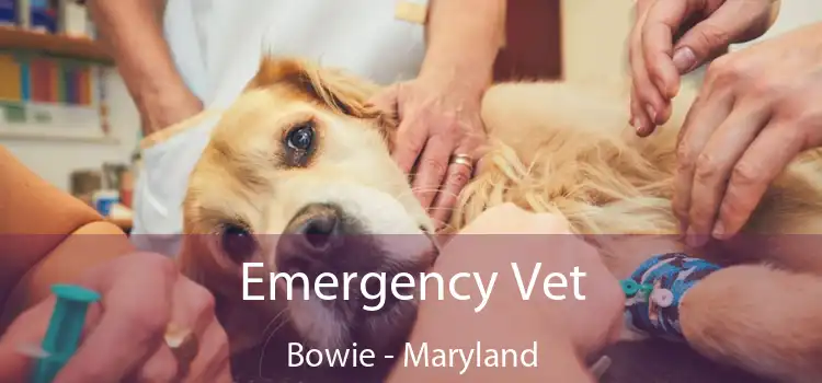 Emergency Vet Bowie - Maryland