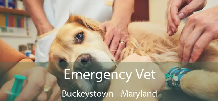 Emergency Vet Buckeystown - Maryland