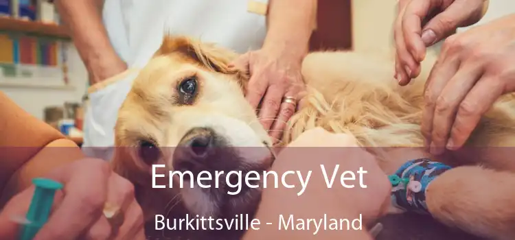 Emergency Vet Burkittsville - Maryland