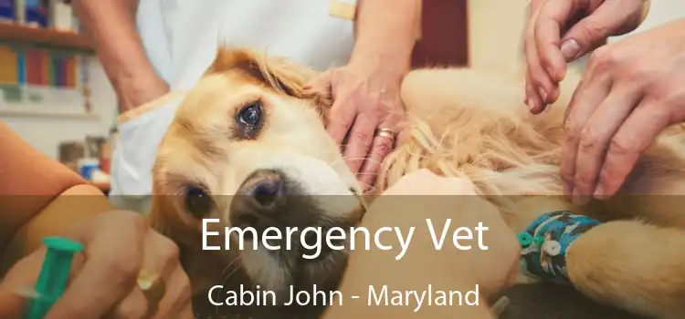 Emergency Vet Cabin John - Maryland