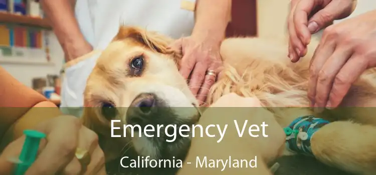 Emergency Vet California - Maryland