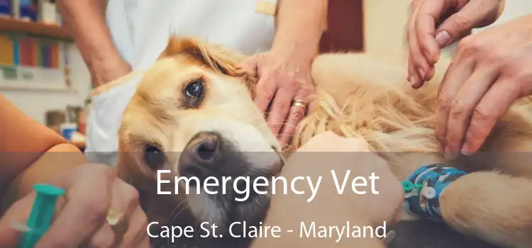 Emergency Vet Cape St. Claire - Maryland