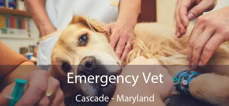 Emergency Vet Cascade - Maryland