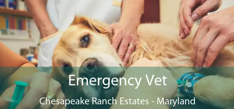 Emergency Vet Chesapeake Ranch Estates - Maryland