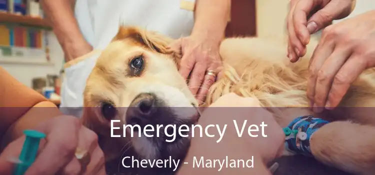 Emergency Vet Cheverly - Maryland