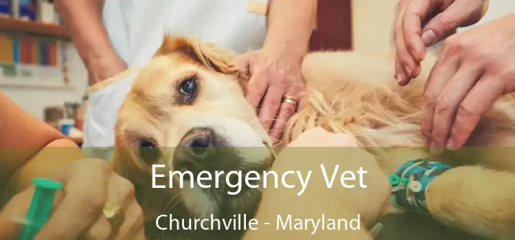 Emergency Vet Churchville - Maryland