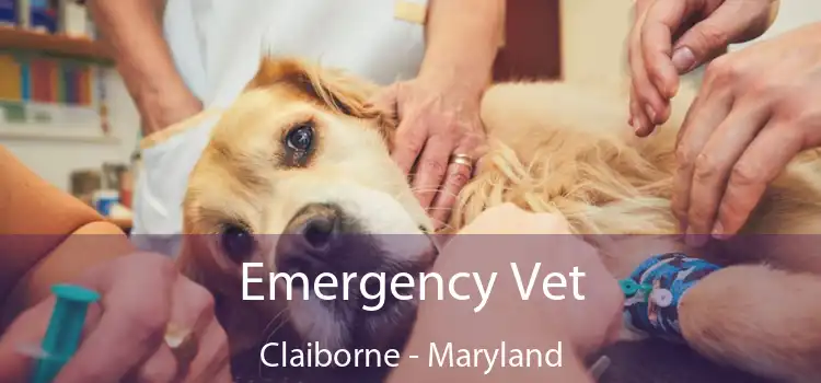 Emergency Vet Claiborne - Maryland