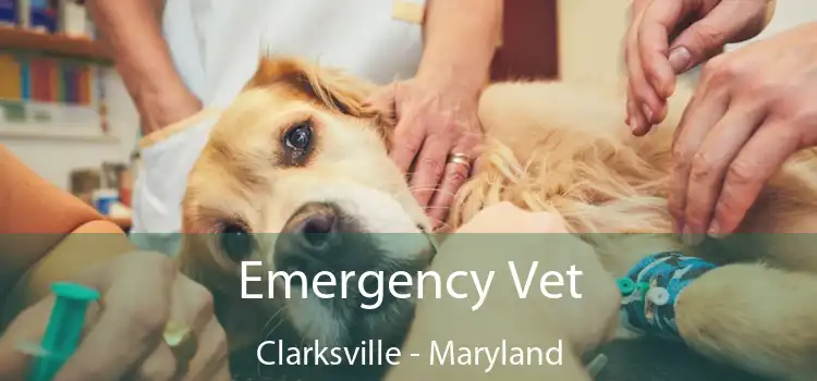 Emergency Vet Clarksville - Maryland