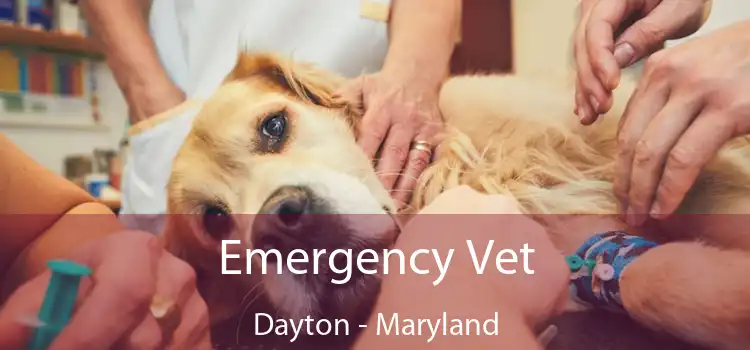 Emergency Vet Dayton - Maryland