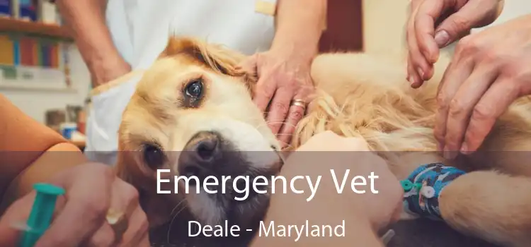 Emergency Vet Deale - Maryland