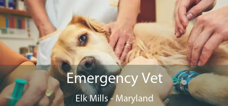 Emergency Vet Elk Mills - Maryland