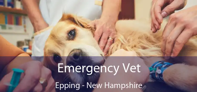 Emergency Vet Epping - New Hampshire