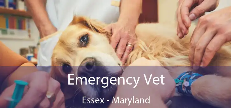 Emergency Vet Essex - Maryland