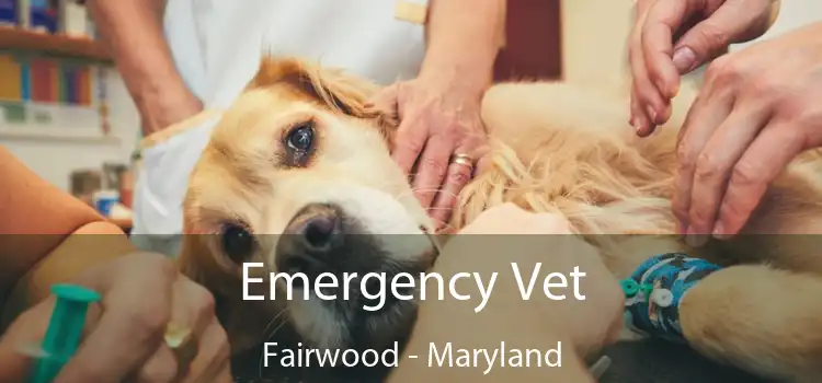 Emergency Vet Fairwood - Maryland