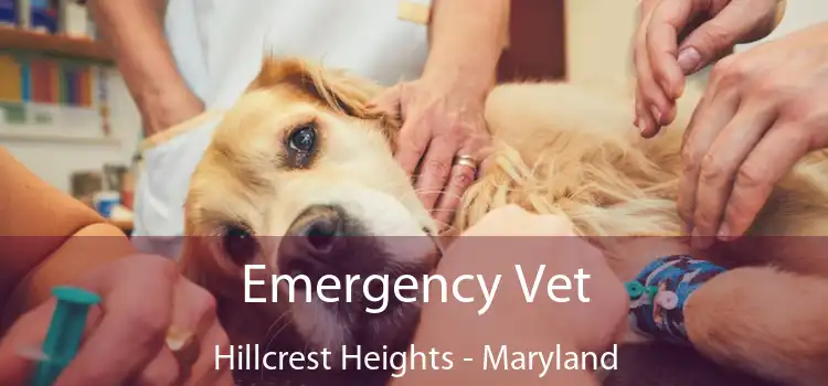 Emergency Vet Hillcrest Heights - Maryland