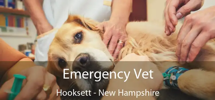 Emergency Vet Hooksett - New Hampshire