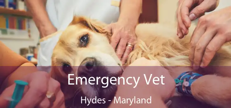 Emergency Vet Hydes - Maryland