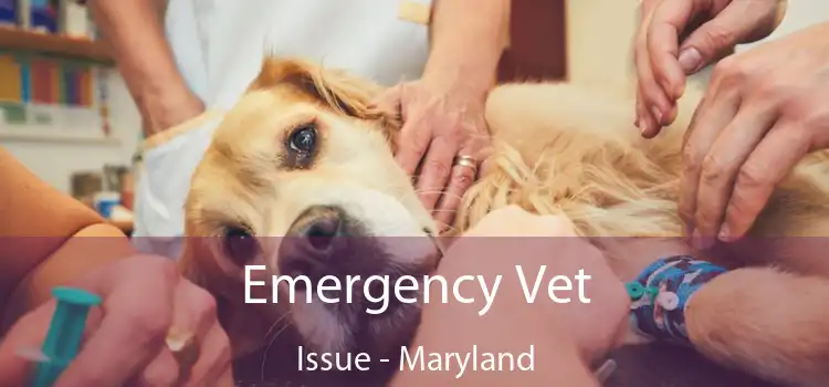 Emergency Vet Issue - Maryland