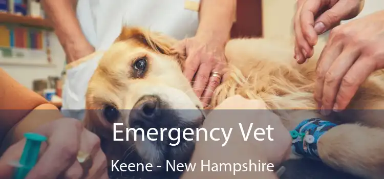 Emergency Vet Keene - New Hampshire