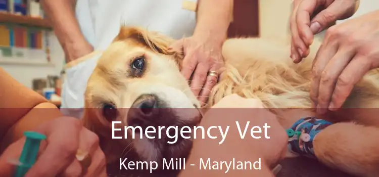 Emergency Vet Kemp Mill - Maryland